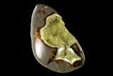 Polished, Crystal Filled Septarian Nodule - Utah #149965-2